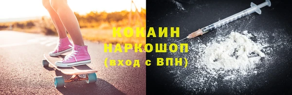 прущие грибы Волосово
