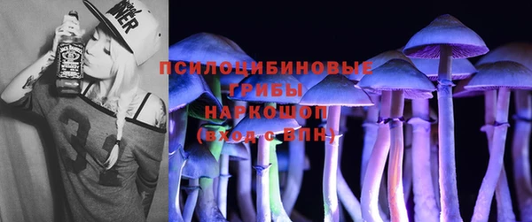 прущие грибы Волосово