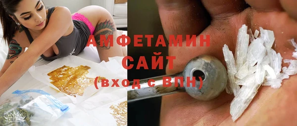 прущие грибы Волосово