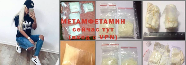 прущие грибы Волосово