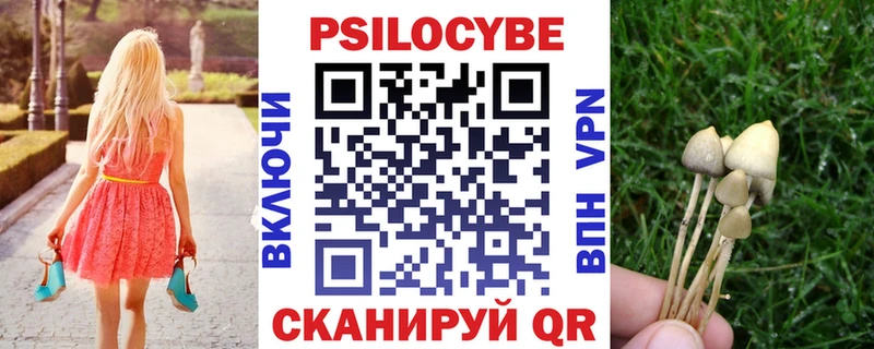 Галлюциногенные грибы Cubensis  Грозный 